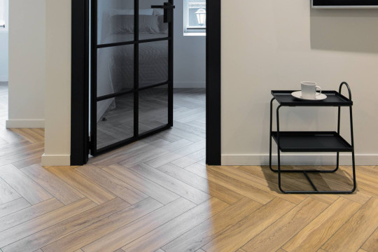 Проект Анна