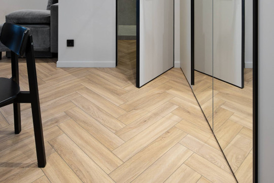 Проект Анна