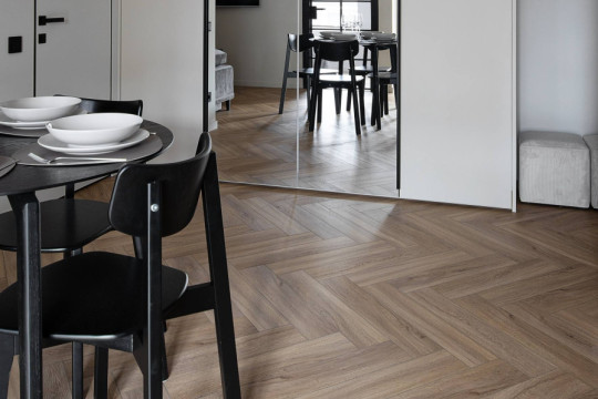 Проект Анна