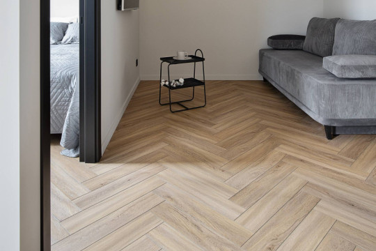 Проект Анна